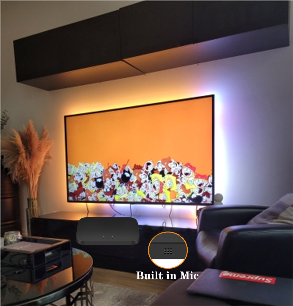 Smart Ambient TV Led Backlight - Smart Garden Light Controller ulasan dan harga