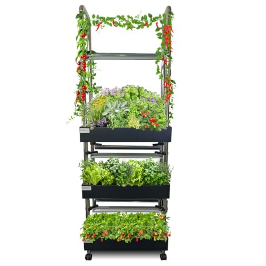 Indoor hydroponics growing sys - Smart Garden Lighting System ulasan dan harga