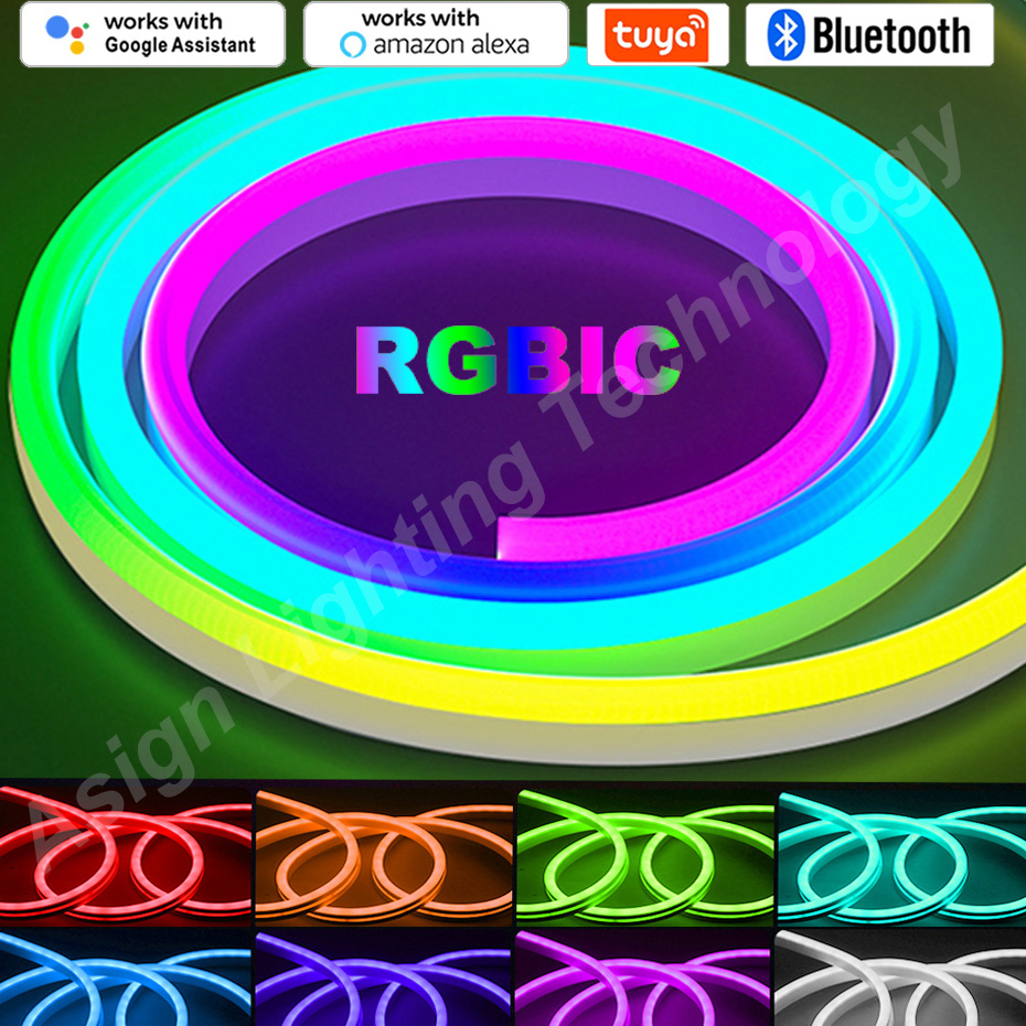 RGBIC LED Neon Strip 12V 96LED - Smart Garden Light Controller ulasan dan harga