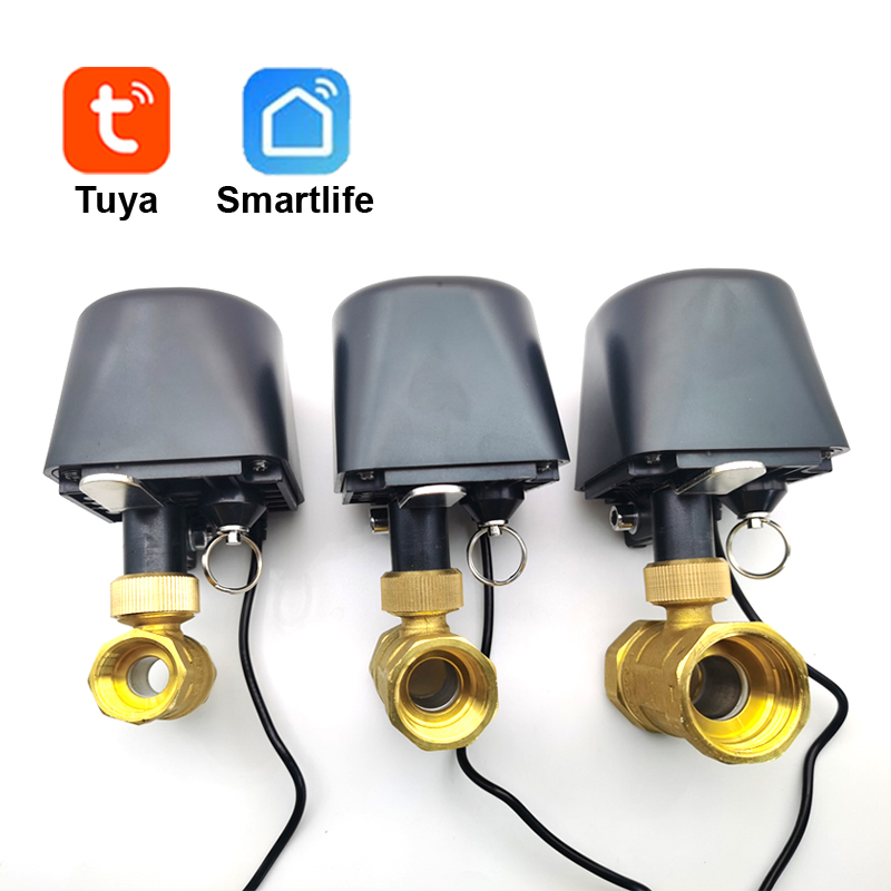 Tuya WiFi or Zigbee Water Valv - Smart Garden Valve ulasan dan harga